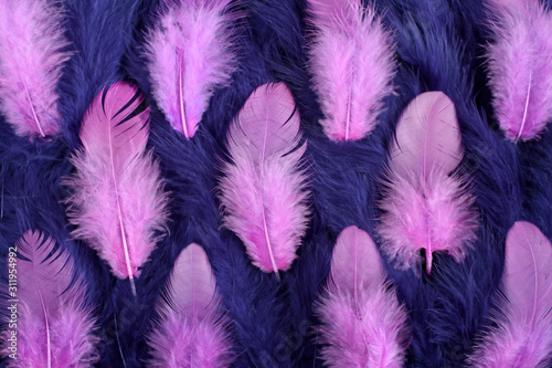 Background of small blue and pink feathers