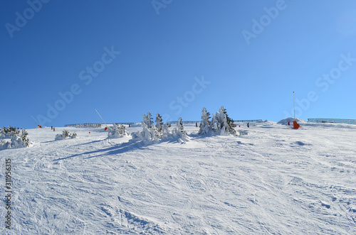 Ski slopes in a bright, sunny winter day, Kopaonik, Serbia