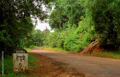 Road towards Hedvi Village, Western Maharashtra, India. photo