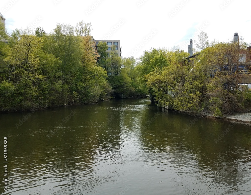 calm river or stream water and trees with buildings