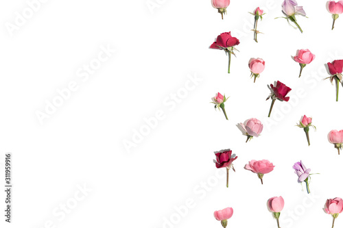 Roses. Border made of fresh red and pink roses on white. Floral flat lay composition
