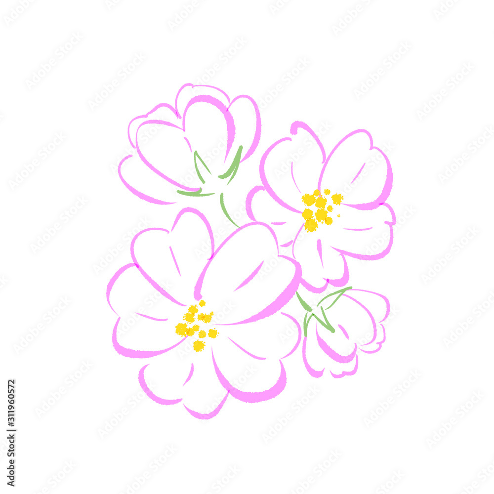 桜の花の手書きのイラスト