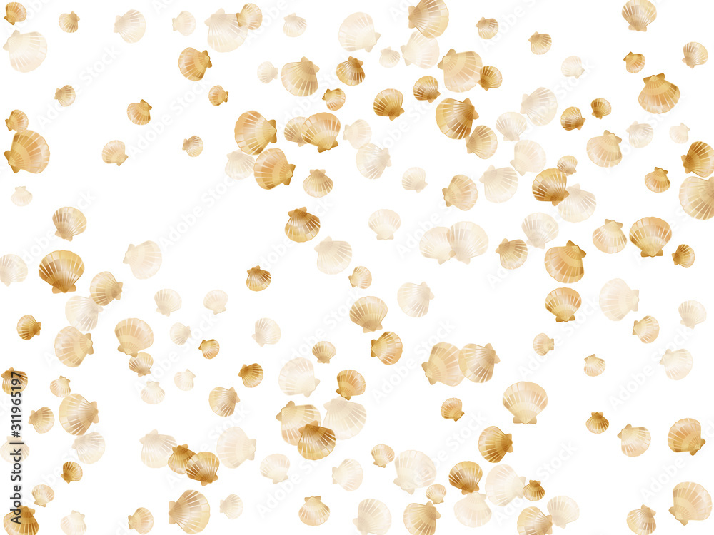 Stylish gold sea shell graphics. Stylish gold sea shell graphics.