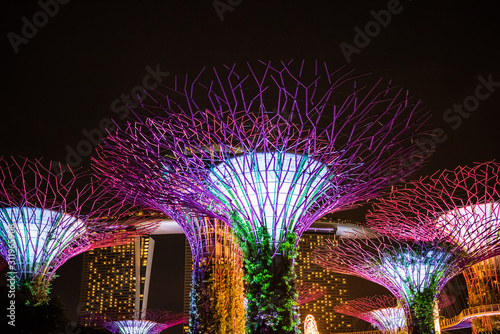 SINGAPORE: Supertrees illuminated for light show in gardens by the bay