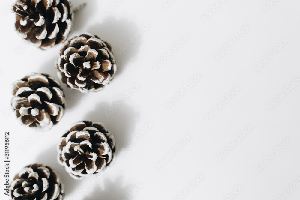 pine cones on a white background, New Year decorations