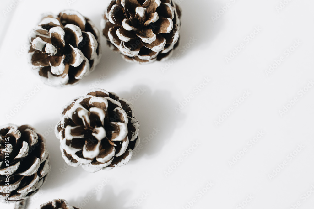 pine cones on a white background, New Year decorations pine cones on a white background, New Year decorations
