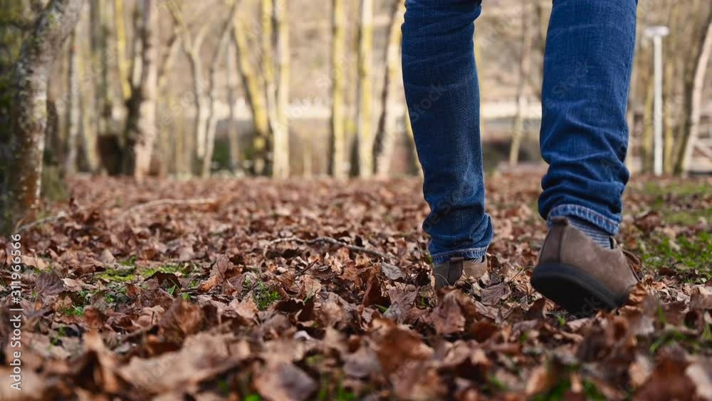 Man walking through leaves during a walk through the idyllic park in fall. Man walking along path full of tree leaves. Slow motion, low angle . Man walking through leaves during a walk through the idyllic park in fall. Man walking along path full of tree leaves. Slow motion, low angle .