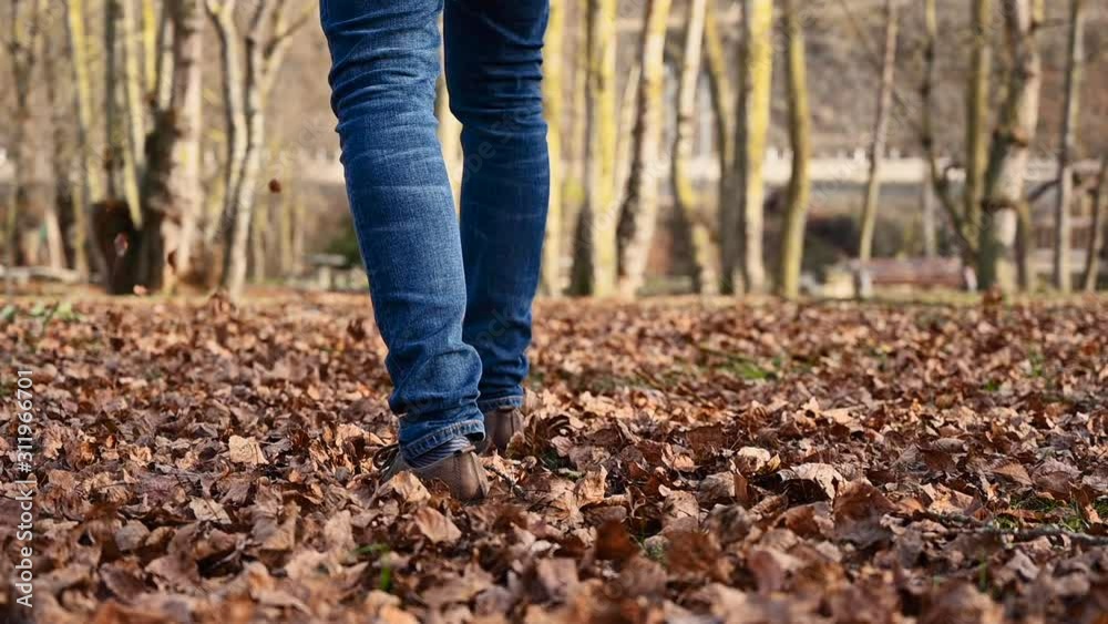 Playful man kicking up a pile of colorful leaves during a walk through the idyllic park in fall. Man walking along path full of tree leaves. Slow motion, low angle . Playful man kicking up a pile of colorful leaves during a walk through the idyllic park in fall. Man walking along path full of tree leaves. Slow motion, low angle .