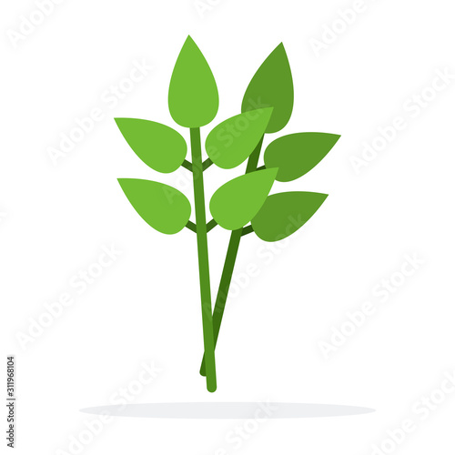 Bay leaf vector flat isolated