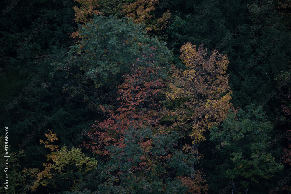 Letchworth state park, autumn colors