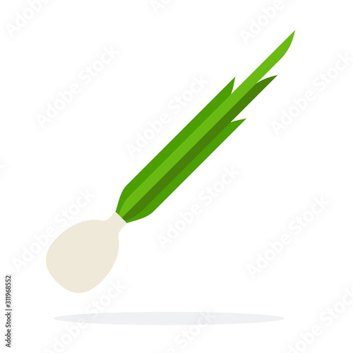 Onions with green sprouts