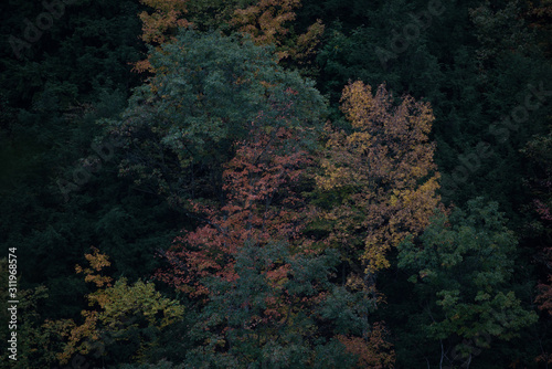Letchworth state park  autumn colors