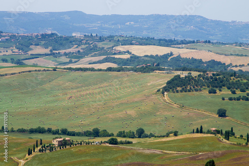 Tuscany hills panorama summer view, Italian landscape © elleonzebon