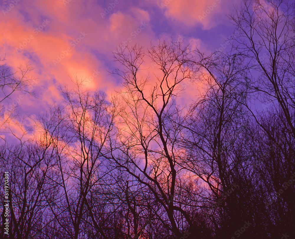 Sunset Lit Clouds Sunset Lit Clouds