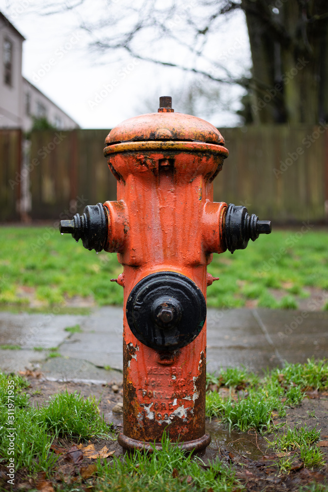 fire hydrant fire hydrant