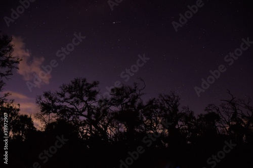 Little Talbot Island Night