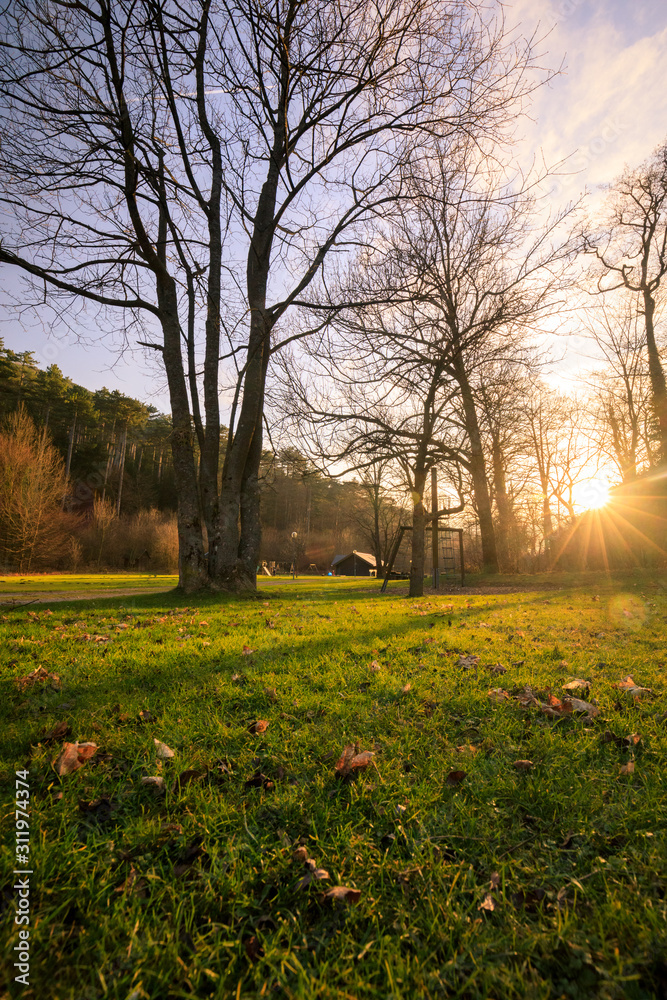 Sunlighted park in austria during sunset in autumn Sunlighted park in austria during sunset in autumn