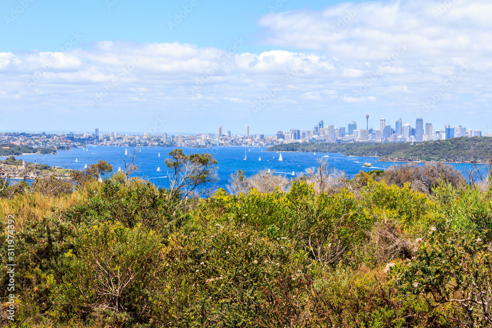 View of Sydney Harbor from North Point