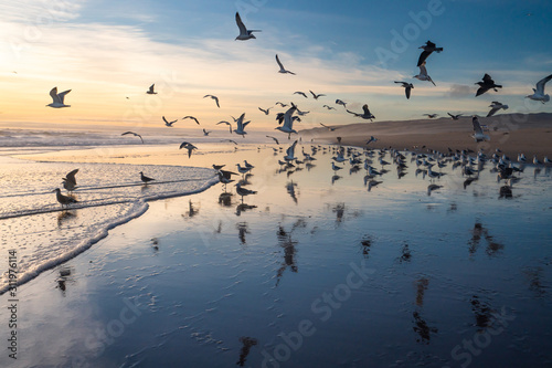 Sunset on the beach and flock of flying birds reflected in the surface of the water