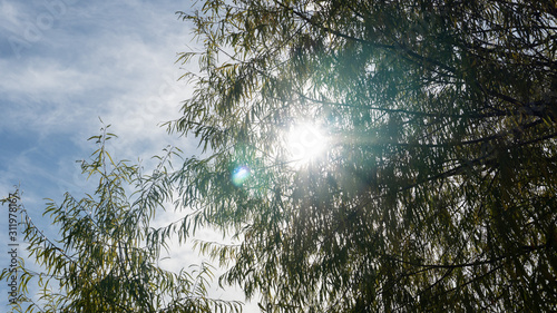 sky