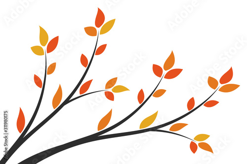 Silhouette of a branch with yellow leaves. Young tree. 
