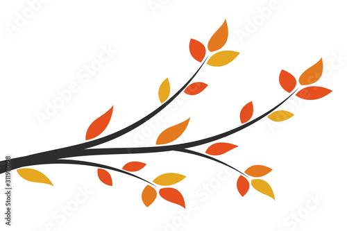 Silhouette of a branch with yellow leaves. Young tree. 