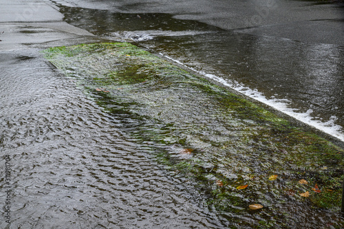 Wallpaper Mural Heavy rain caused flooding over sidewalk, grass strip, and road Torontodigital.ca
