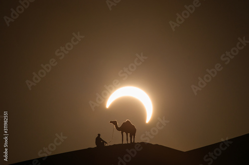 Annular solar eclipse in desert with a silhouette of a dromedary camel. Liwa desert  Abu Dhabi  United Arab Emirates.
