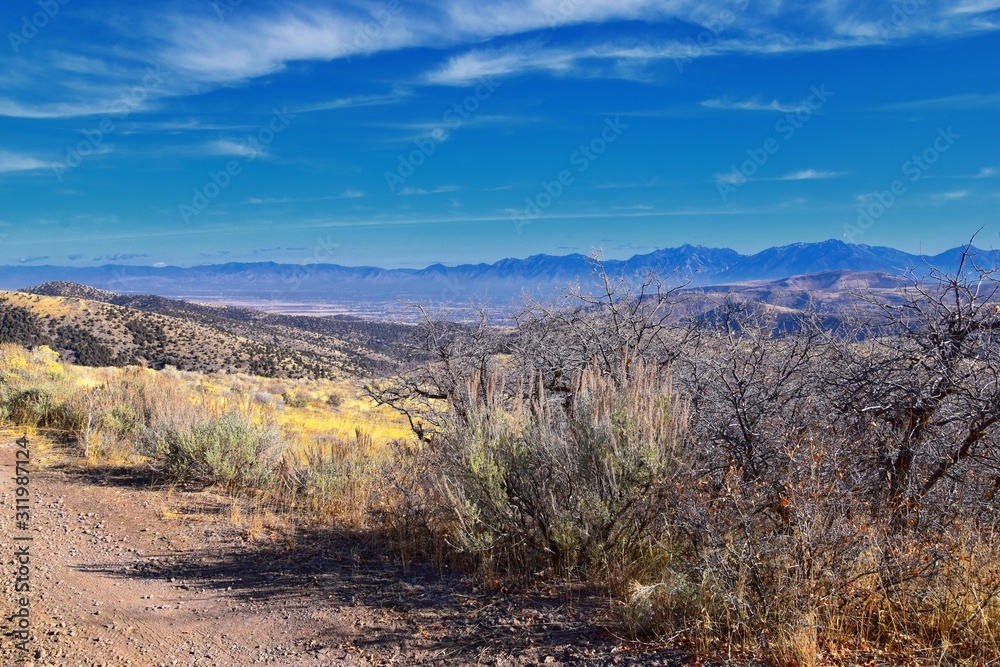Obraz premium Views of Wasatch Front Rocky Mountains from the Oquirrh Mountains with fall leaves, Hiking in Yellow Fork trail and Rose Canyon in Great Salt Lake Valley. Utah, United States. USA.