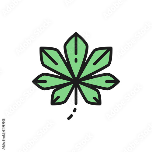 Chestnut tree leaf, Kyiv chestnuts flat color line icon.