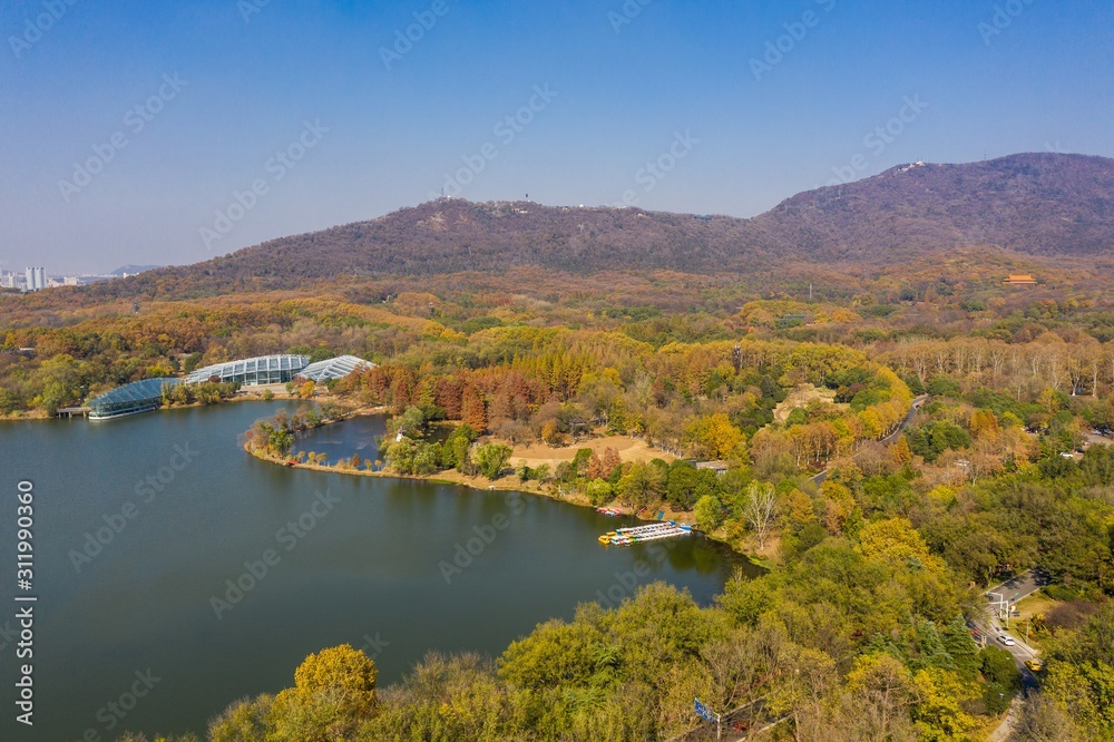 Aerial View of Zhongshan Botanical Garden in Nanjing City