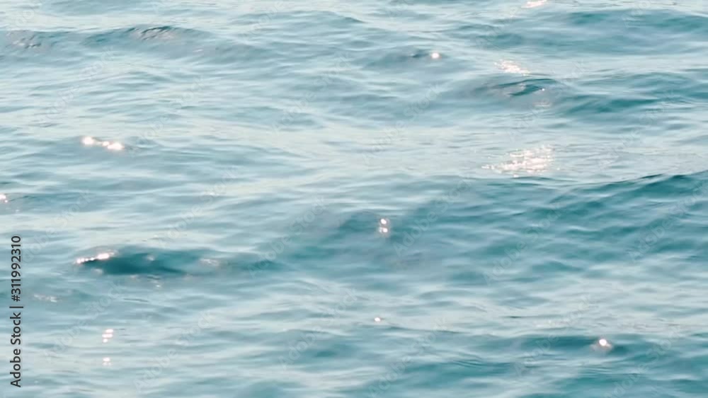 Blue water surface with soft waves. The deep blue sea, the waves glitter in the sun, texture sea background Blue water surface with soft waves. The deep blue sea, the waves glitter in the sun, texture sea background