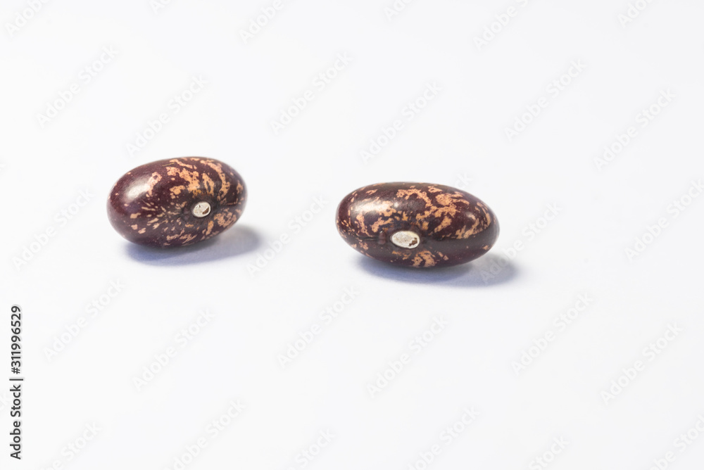 Red bean, acacia bean Red bean, acacia bean