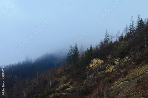 Wallpaper Mural Mountain river water landscape. Wild river in mountains Torontodigital.ca