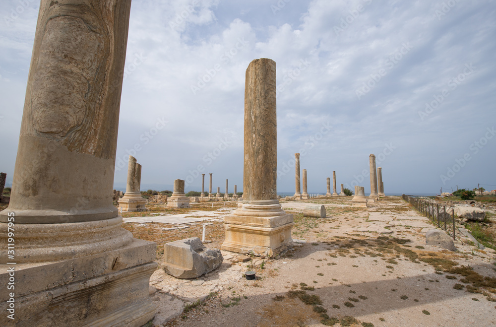 Columned street. Roman remains in Tyre. Tyre is an ancient Phoenician city. Tyre, Lebanon - June, 2019