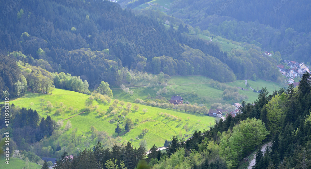 Obraz premium Picturesque european landscape valley with villages and houses in the mountains Schwarzwald, Germany