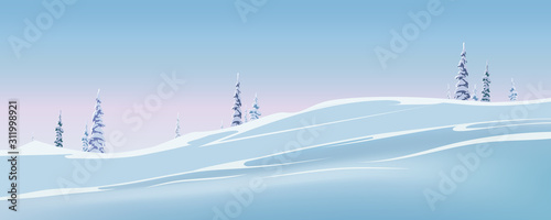 Winter landscape with spruce. Vector winter illustration. Spruce in the snow, snow drifts