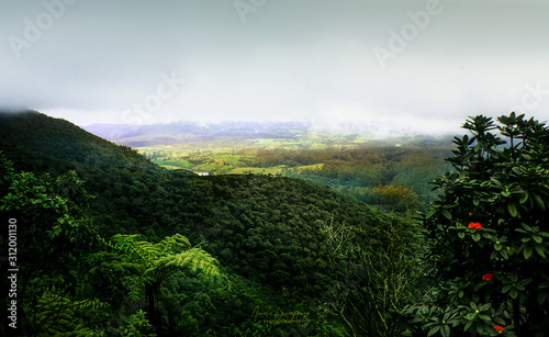 Ambewela hill country Sri Lanka from cloude level
