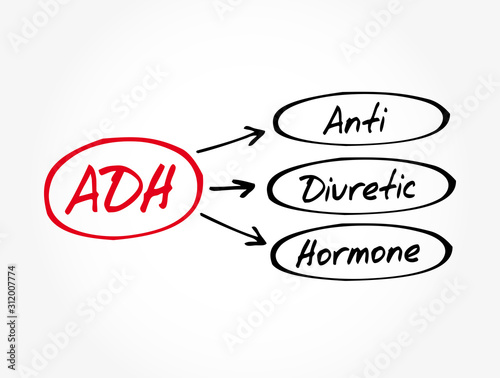 ADH - Antidiuretic Hormone acronym, concept background