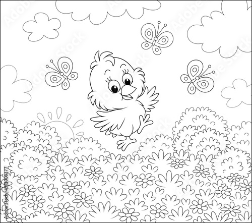 Cute little chick dancing for joy with funny butterflies among wild flowers of a pretty lawn on a sunny spring morning, black and white vector cartoon illustration for a coloring book page