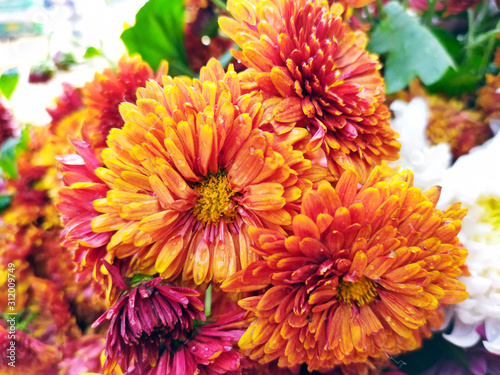 fresh multi color flower put on a flower shop