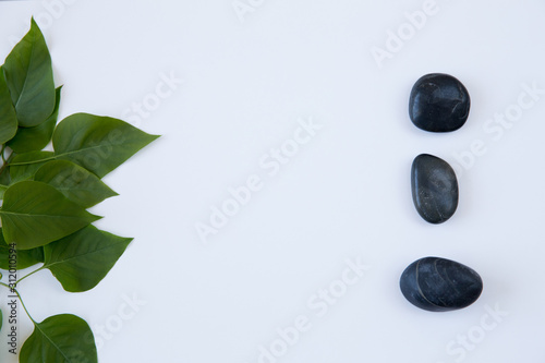 Black stones and a green plant branch on background.