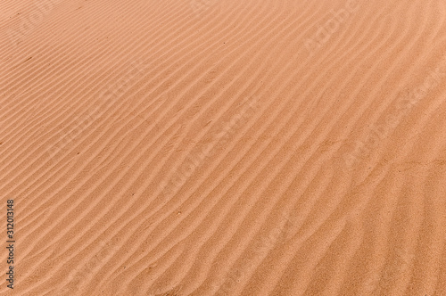 Texture of rippled sand