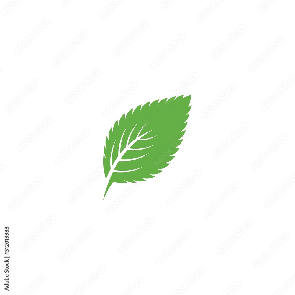 Mint leaf logo Mint leaf logo
