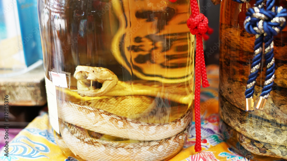 Traditional asian tincture on a poisonous snake. Avamori Venomous Snake