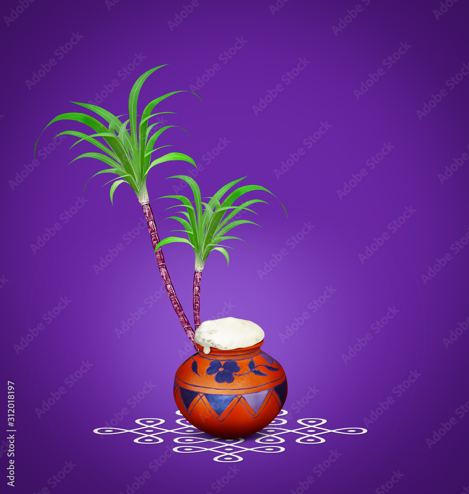 Pongal, Composition with traditional mud pot, rangoli and Sugarcane for