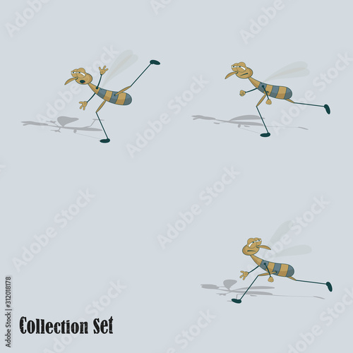 Water strider in various poses. Vector set for design.