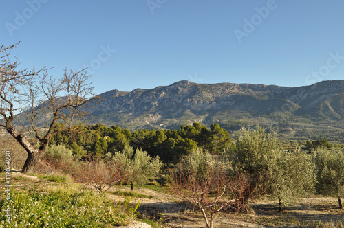 landscape in the mountains, Balones to Quatretondeta, Alicante Province, Spain photo