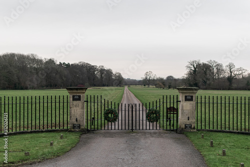 fence in park