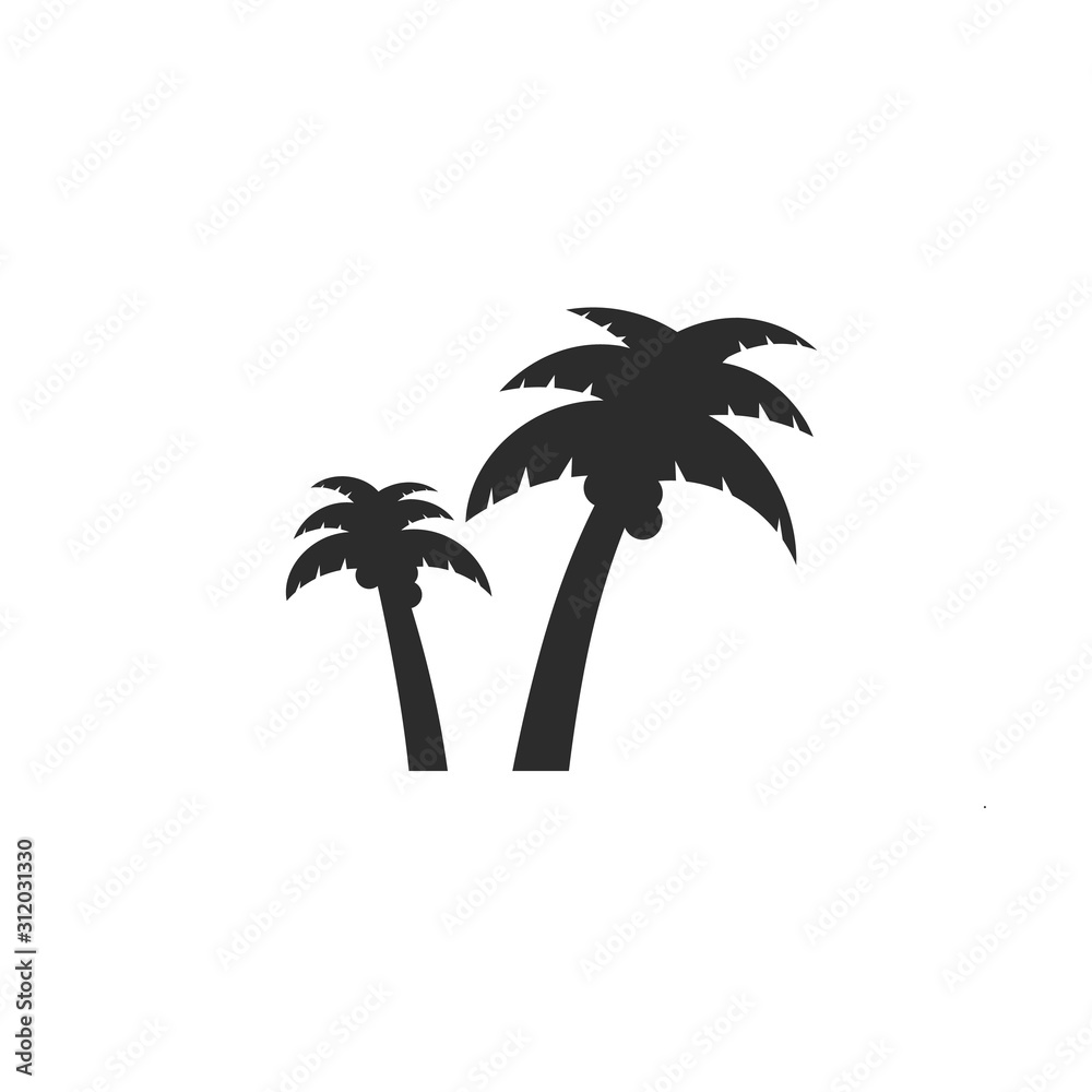 silhouette of a palm tree